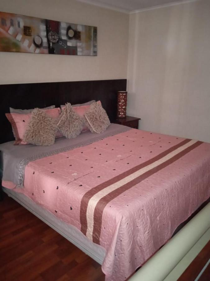 Central Suites Santiago de Chile Bagian luar foto